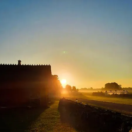 Juerivaerava Saunamaja