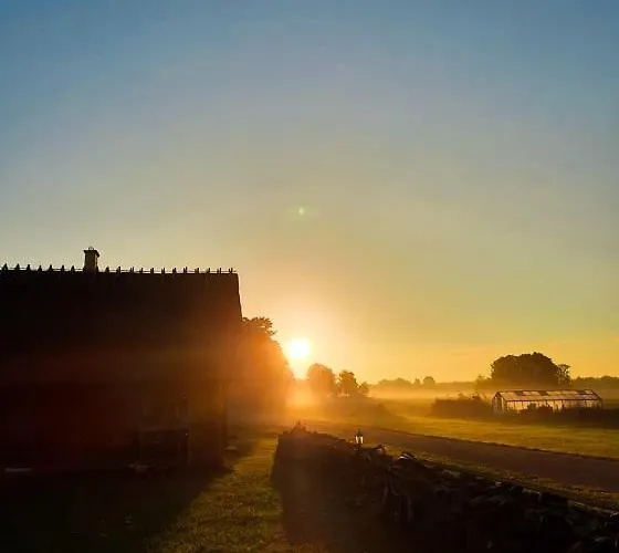 Juerivaerava Saunamaja