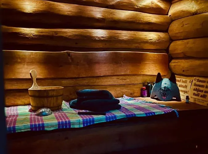 Juerivaerava Saunamaja Appartamento